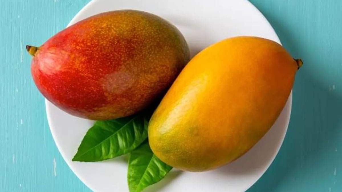 Mango. Fuente: (Instagram)