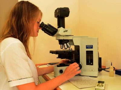 El gobierno anunció que el Sistema Público de Salud incorporará cerca de 60 nuevos especialistas