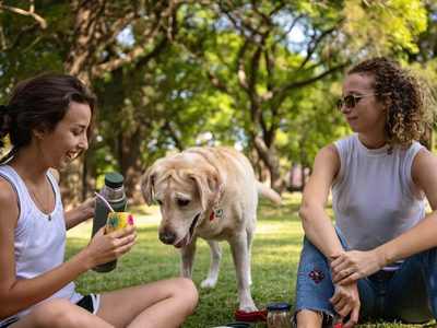 Cuadraditos de coco: sequitos e ideales para el mate, la receta que no vas a parar de hacer