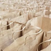Nunca más tires las bolsas de papel vacías: creá esta maravillosa idea para decorar tu casa sin gastar y en minutos
