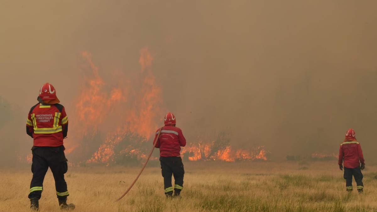 Las autoridades aseguran que el incendio en los Alerces fue propiciado. Fuente: (Twitter)