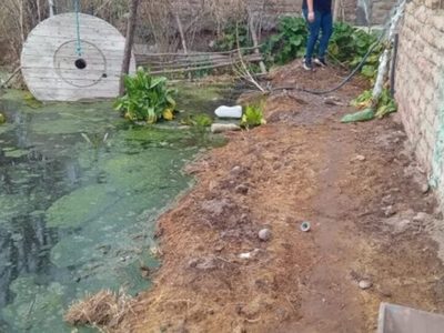 Vecinos de Villa Obrera en Centenario reclaman respuesta ante el desborde de una laguna
