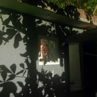 Matan a agente de la Policía Investigadora en Colima; presunto agresor se suicida