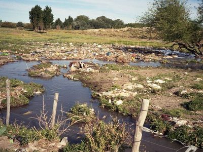 Presentaron un proyecto para la protección integral de los humedales