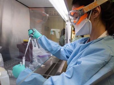Coronavirus: confirman que hay circulación comunitaria de nuevas variantes en Argentina