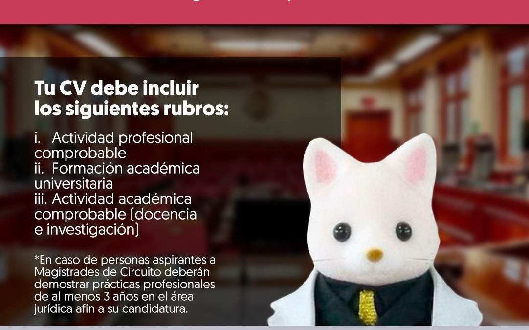 Campaña del Imjuve para la elección de jueces y magistrados