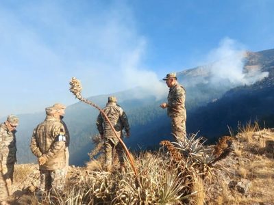 Bolivia declara la emergencia ante los incendios forestales