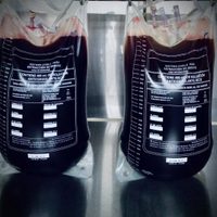 Birmex concluye la primera cosecha de suero equino para tratamiento contra el covid-19