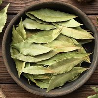 Con una hoja es suficiente: la planta que tenés que llevar en la funda de tu celular si querés atraer la buena suerte