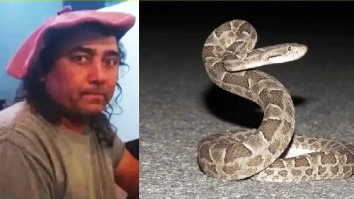 Miguel Contreras fue picado por una yarará en la localidad de Cutral Co. Fuente (Facebook)