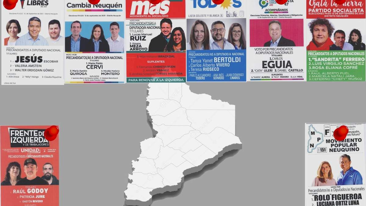 Fuerzas políticas que compitieron en las PASO en Neuquén. Fuente: (Minuto Neuquén)