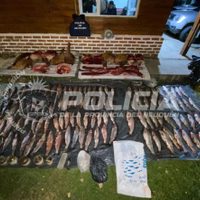 Villa la Angostura: hallaron una banda furtiva con 120 truchas ilegales y carne de ciervo en el auto