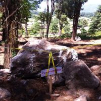Clausura Profepa dos predios forestales en Valle de Bravo