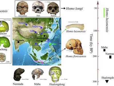 Posible nueva especie humana revelada en Asia