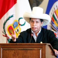 "Nosotros no somos comunistas": Castillo alienta las inversiones en Perú ante la OEA