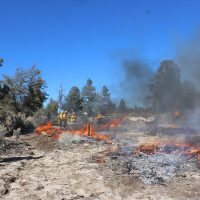 Hay 79 incendios activos en el país: Protección Civil federal