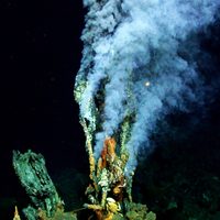 En ventilas hidrotermales en Sonora, científicos de la UNAM exploran el origen de la vida