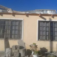 Lo que el viento se llevó en Zapala