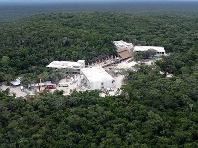 Hotel Militar del Tren Maya en Reserva de Calakmul disminuyó en 88% la presencia del jaguar