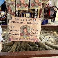 Hallan restos de una mujer; investigan si es Lorenza Cano, buscadora secuestrada hace un año