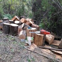 Río Negro avanza contra la tala ilegal: incorporarán cuatro inspectores en la zona andina