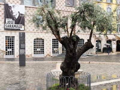 La Fundación Saramago fomenta ruta turística dedicada a un libro del escritor