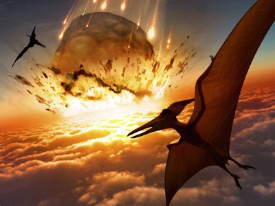Increíble: encontraron a un dinosaurio que murió cuando el letal meteorito chocó contra la Tierra