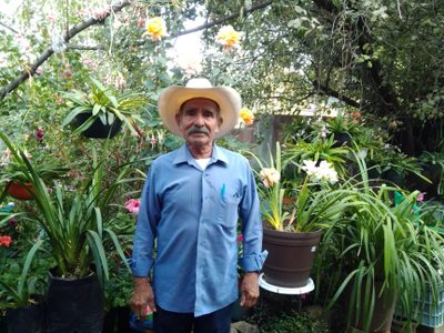 Fallece Bulmaro Hernández Escobar, activista comunitario emblemático de Hueyapan