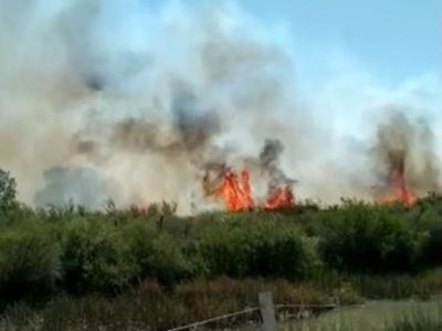 Un fuego descontrolado afectó más de 130 hectáreas en San Patricio del Chañar