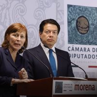 Morena presenta iniciativa para reducir 50% el gasto ordinario de los partidos políticos