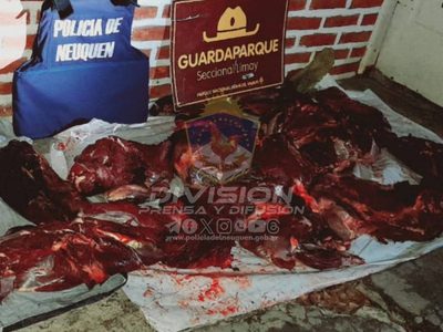 Secuestraron truchas y ciervos faenados en un operativo policial y de Guardaparques