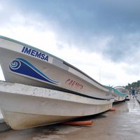 Alerta de tsunami en el Caribe por terremoto de 7.8 en Honduras