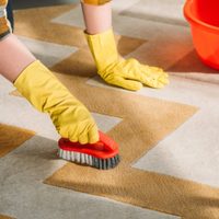 Así lo hacían las abuelas: el mejor método para limpiar las alfombras de casa sin dañarlas