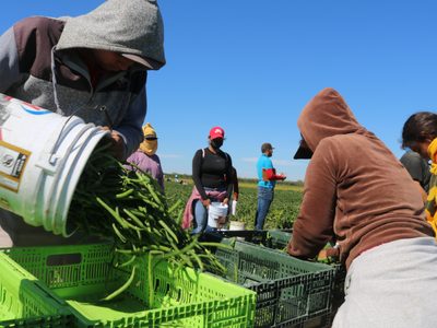 México registró la mayor pérdida de empleos permanentes desde 2015