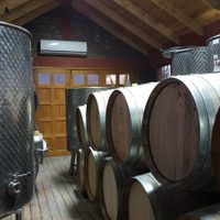 De exportación: el vino neuquino que toma el Papa Francisco