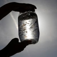 Comemos el equivalente a una tarjeta de crédito por semana, por la ingesta de microplásticos