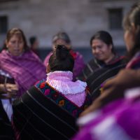 Sener y SCT deben entregar estudios de impacto del Tren Maya y Dos Bocas: Inai