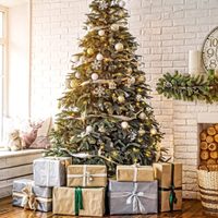La encontrás en tu jardín: qué tenés que colgar en tu árbol de Navidad para atraer la prosperidad y la buena suerte