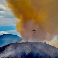 Brigadistas trabajan para contener el incendio en el Parque Nacional Lanín; el viento complicó las tareas