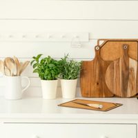 Infecciones, inflamaciones y metabolismo: los beneficios comprobados de este clásico condimento de cocina