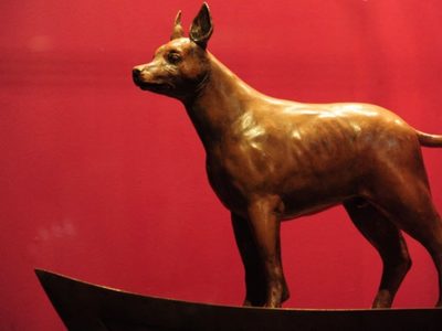 "Xolos, compañeros de viaje" en el Museo del Carmen