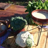 Compilan las más populares recetas de cocina santafesinas