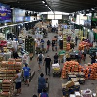 El mercado concentrador de Neuquén abrirá y mantendrá su horario habitual durante el feriado del 9 de Julio
