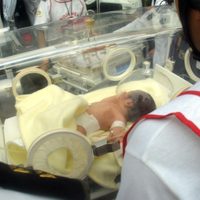 Cofepris retira leche en fórmula para bebés por bacteria que puede causar convulsiones