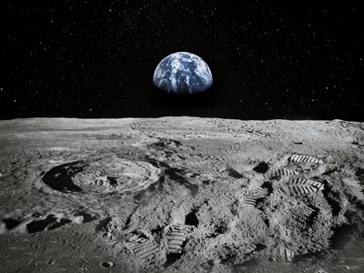 Plantas lunares: lograron cultivar una especie en tierra traída desde la Luna