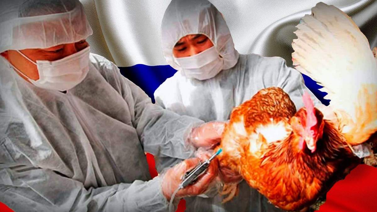 Científicos analizan muestras de las aves para verificar si son portadoras del virus aviar. Fuente: (Minuto Neuquén)