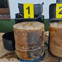 El increíble cargamento de droga que fue hallado por un perro en Salta