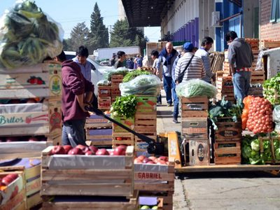 Si conseguís cajones de verdulería, guardalos: armá estas prácticas y enormes macetas para tus plantas