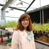 Del Conicet al mundo: el prestigioso premio que recibió una investigadora argentina
