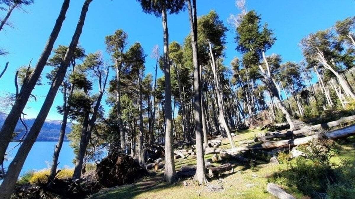 Reserva Natural Costera de Villa Traful. Fuente: (Facebook)